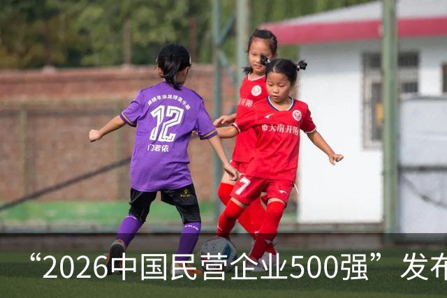 “2026中国民营企业500强”发布
