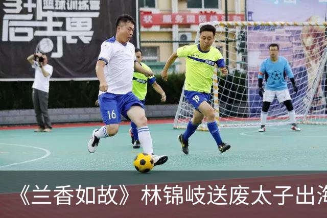 《兰香如故》林锦岐送废太子出海！才懂他为何亲手放走这催命符