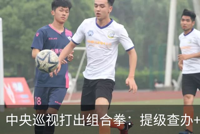 中央巡视打出组合拳：提级查办+深挖保护伞，查到线索再也瞒不住