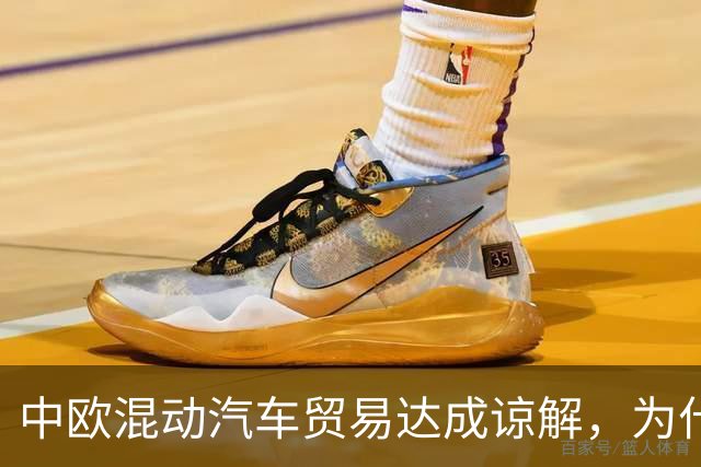 中欧混动汽车贸易达成谅解，为什么绕开了反补贴案？