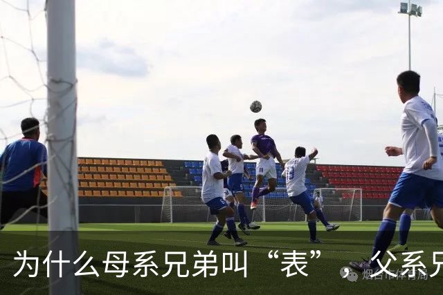 为什么母系兄弟叫“表”，父系兄弟称“堂”？