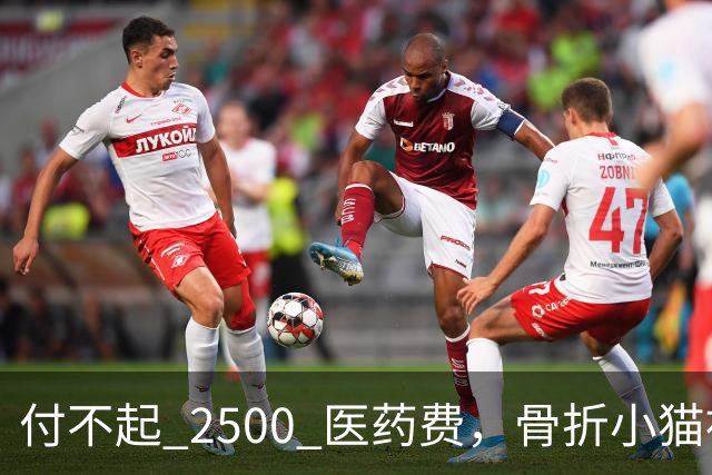 付不起 2500 医药费，骨折小猫被丢在地铁站口，3小时后一瘸一拐自己回到医院，猫：我还想活！