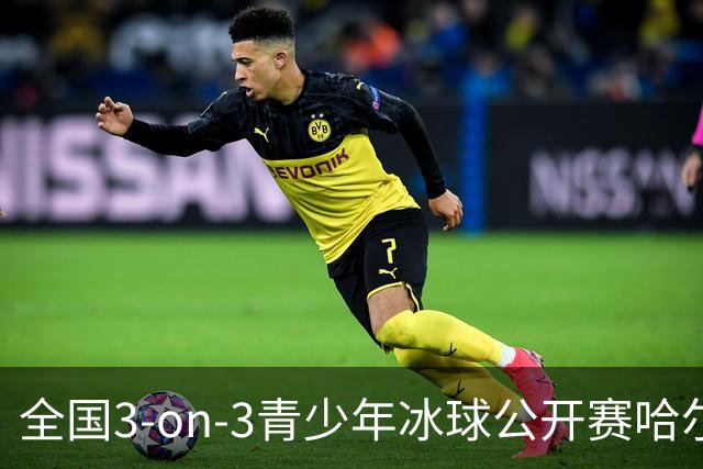 全国3-on-3青少年冰球公开赛哈尔滨赛区比赛收官-国际在线