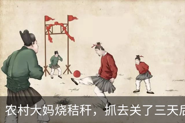 农村大妈烧秸秆，抓去关了三天后，大妈死活不出来，所长急了