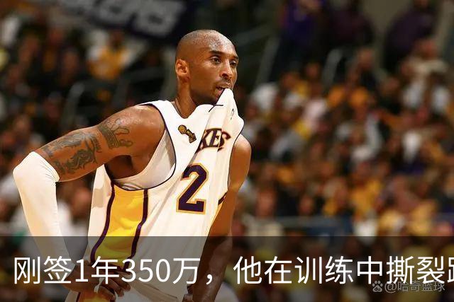 刚签1年350万，他在训练中撕裂跟腱，赛季或提前结束