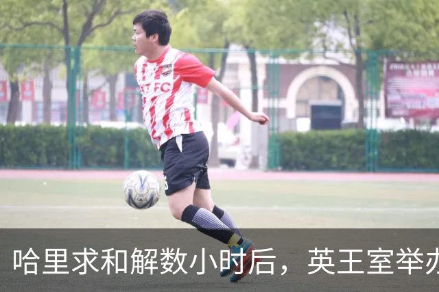 哈里求和解数小时后，英王室举办盛大国宴，凯特戴王冠光彩夺目