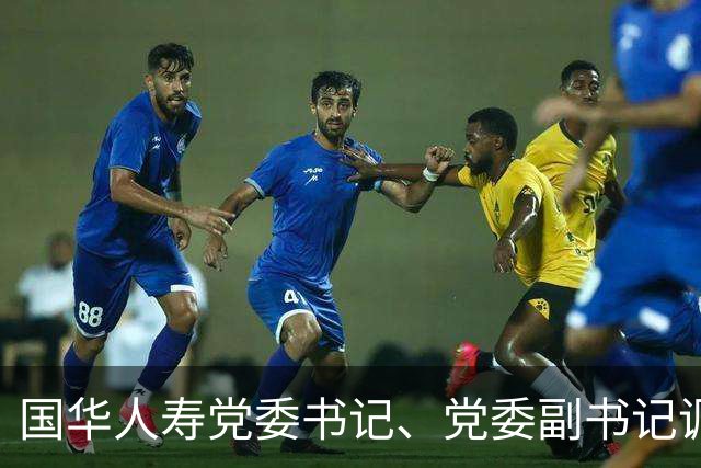 国华人寿党委书记、党委副书记调整
