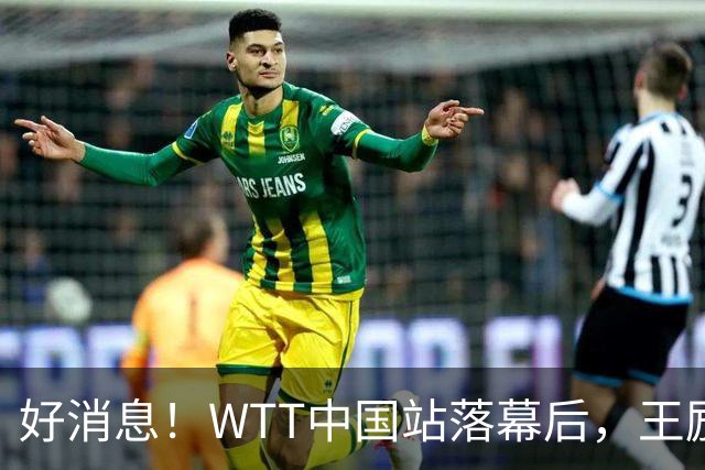 好消息！WTT中国站落幕后，王励勤释放关键信号，樊振东或能回归