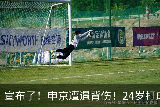 宣布了！申京遭遇背伤！24岁打成火箭新老大