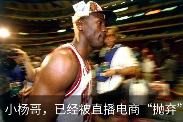 小杨哥，已经被直播电商“抛弃”