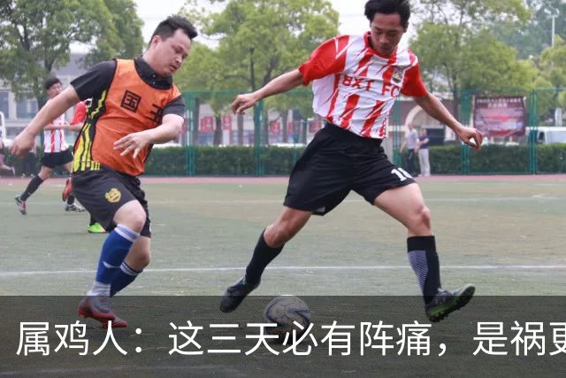属鸡人：这三天必有阵痛，是祸更是渡
