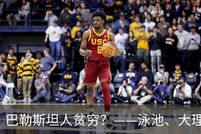巴勒斯坦人贫穷？——泳池、大理石与数千平米的豪宅，印证了国际社会报道的偏颇
