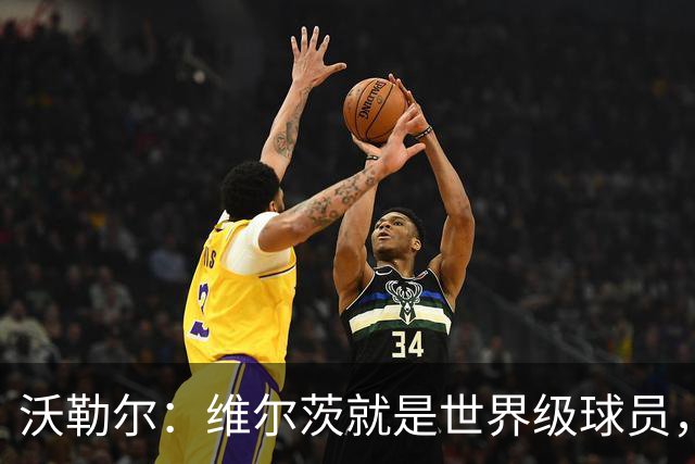 沃勒尔：维尔茨就是世界级球员，他在利物浦和德国队都能成功