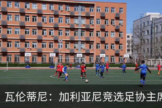 瓦伦蒂尼：加利亚尼竞选足协主席，意甲内部存在分裂
