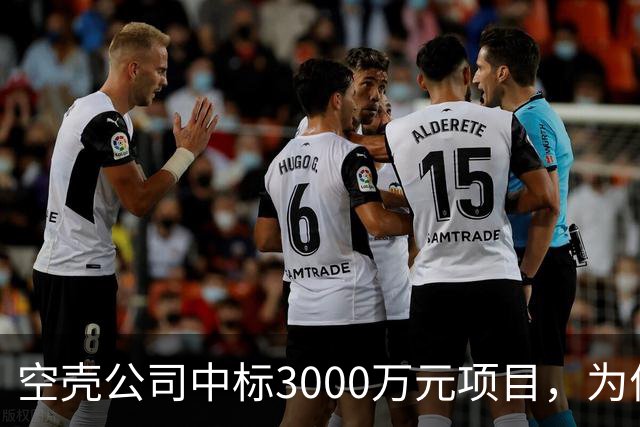 空壳公司中标3000万元项目，为何程序严谨而结果荒诞