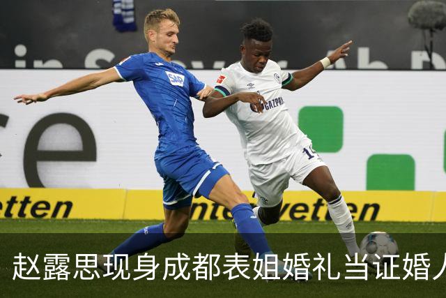 赵露思现身成都表姐婚礼当证婚人，代言平台风波未平又惹争议