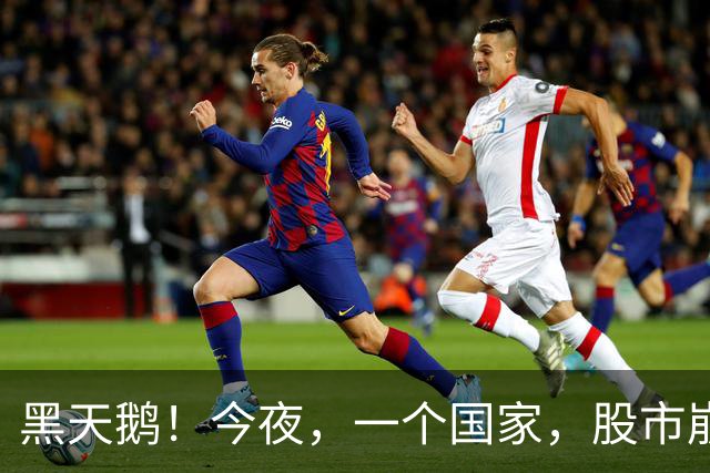黑天鹅！今夜，一个国家，股市崩了