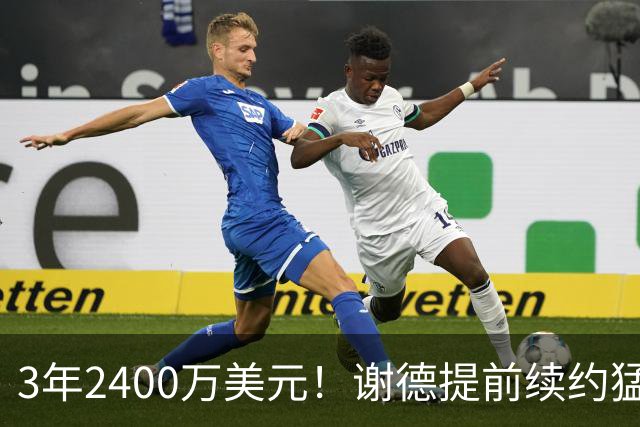 3年2400万美元！谢德提前续约猛龙 辅佐莱昂纳德冲击总冠军