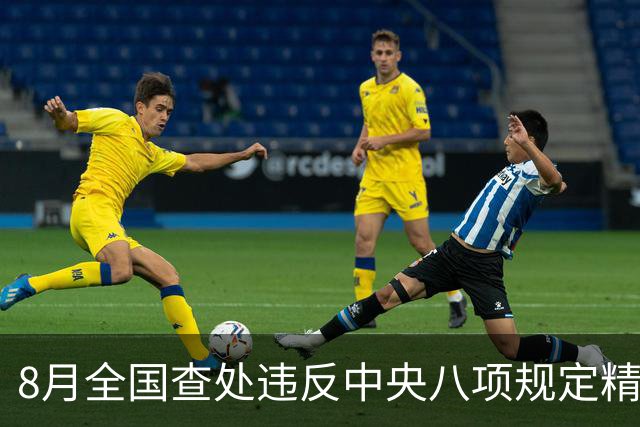 8月全国查处违反中央八项规定精神问题29171起