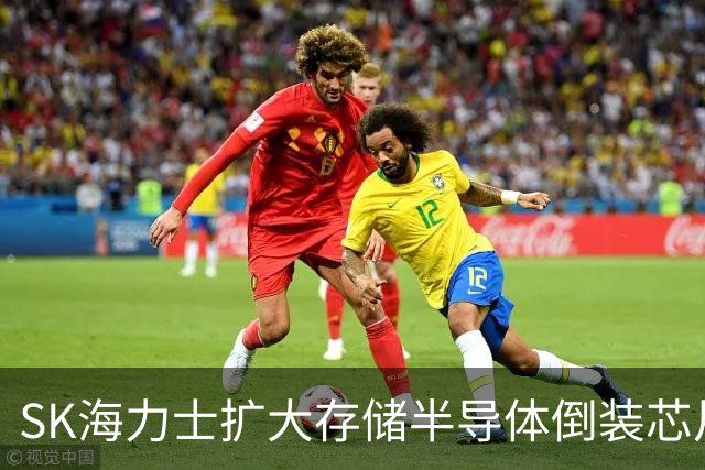 SK海力士扩大存储半导体倒装芯片封装外包规模